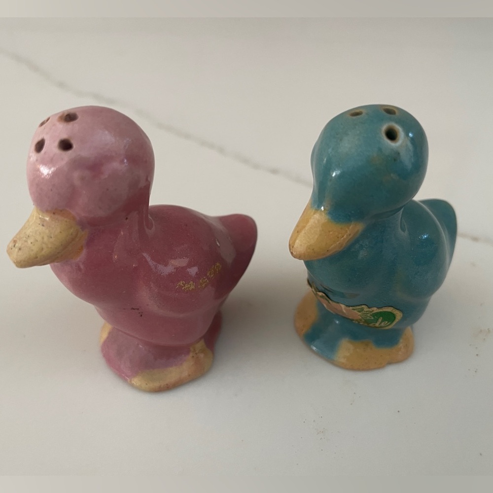 Rosemeade Pink and Blue Ducks Salt and Pepper Shakers